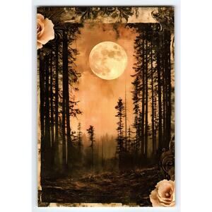 Vintage Halloween Forest Moonlit Night Photochrome Postcard 5.5x4